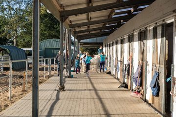 Bild 7 - Pony Akademie Turnier